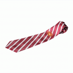 Мужской галстук с печатью